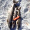 lake trout on ice sand point charters